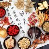Traditional Chinese Medicine paint by numbers