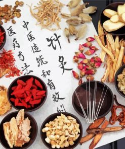 Traditional Chinese Medicine paint by numbers