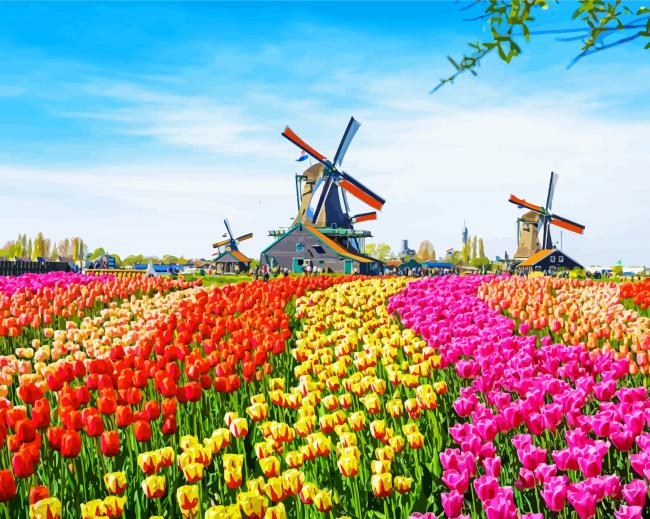 Tulip Fields In The Netherlands paint by number
