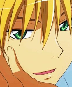 Usui Maid Sama Character paint by numbers