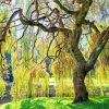 Weeping Willow paint by number