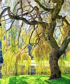 Weeping Willow paint by number