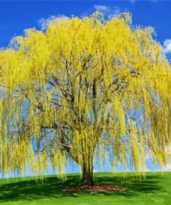 Weeping Willow Plant paint by numbers