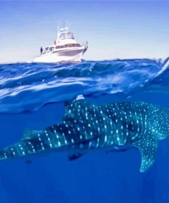 Whale Shark Under Boat paint by number