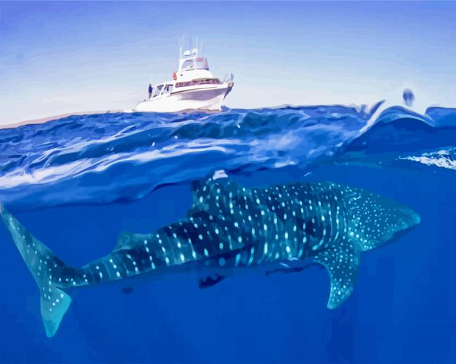 Whale Shark Under Boat paint by number