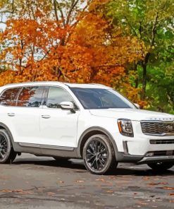 White Kia Telluride paint by number