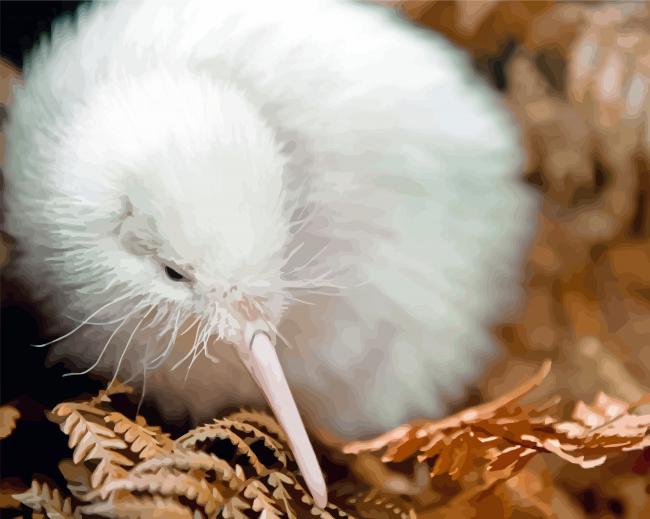 White Kiwi Bird paint by number