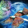 Wolf And Eagles paint by number