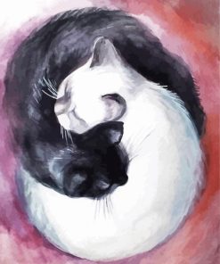 Yin And Yang Cat paint by numbers