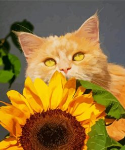 Cat And Sunflower paint by numbers