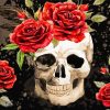 Aesthetic Skull And Roses paint by number