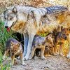 Wolf With Pups paint by number