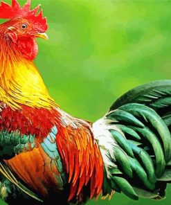 Beautiful Colorful Chicken paint by number