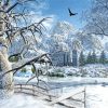 Beautiful Winter Scene paint by number