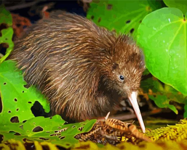 Brown Kiwi Bird paint by number