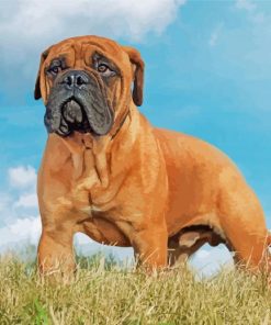 Bull Mastiff paint by number