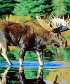 Bull Moose Water paint by number