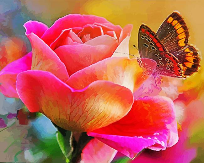 Butterfly On Pink Rose paint by number