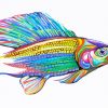 Colorful Grayling Fish paint by number