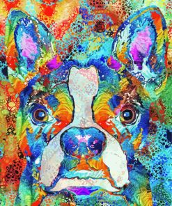 Colorful Boston Terrier Art paint by number