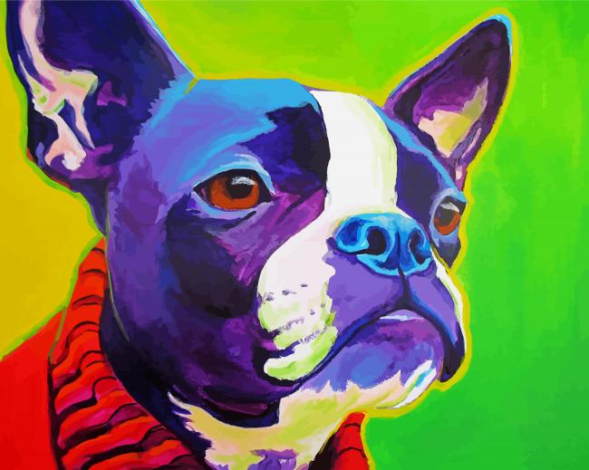 Colorful Boston Terrier Dog paint by number
