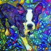 Colorful Boston Terrier Puppy paint by number