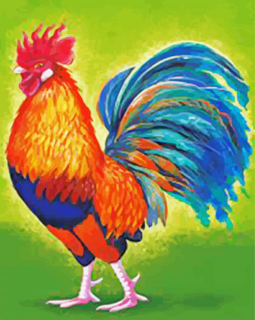 Colorful Chiken Bird Art paint by numbers