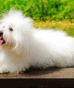 Cute White Fluffy Dog paint by number