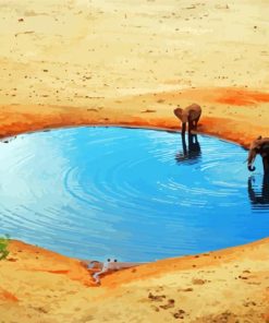 Desert Waterhole paint by number