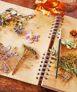 Dried Flowers And Herbs paint by number