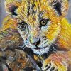 Lion Cub Head Art paint by number