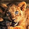 Lion Cub paint by number