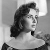 Elizabeth Taylor paint by numbers