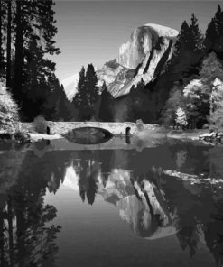 Nature By Ansel Adams paint by number