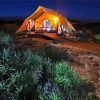 Ningaloo Reef Camping paint by number