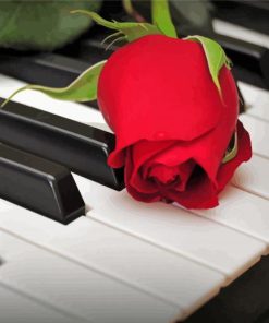 Piano With Red Rose paint by numbers