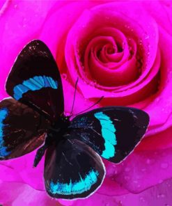Pink Rose And Blue Butterfly paint by number