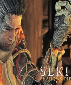 Sekiro Shadows Die Twice paint by number