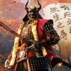 Sekiro Character paint by number