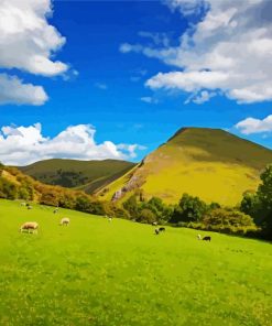 Sheeps In Dovedale Mountains paint by number