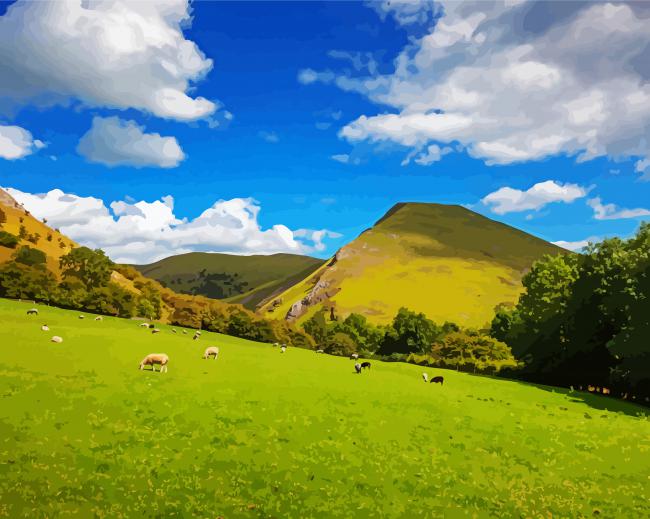 Sheeps In Dovedale Mountains paint by number