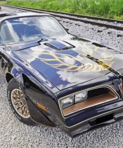 Smokey And The Bandit Movie Car paint by number