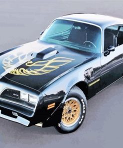 Smokey And The Bandit Car paint by number