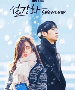 Snowdrop K Drama Poster paint by number