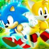 Sonic And Tails Characters paint by number