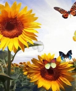 Sunflower And Butterflies paint by numbers