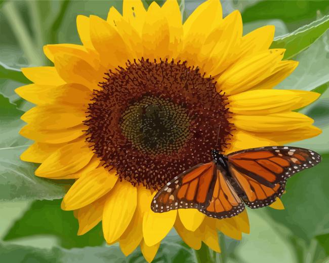 Sunflower And Butterfly paint by numbers