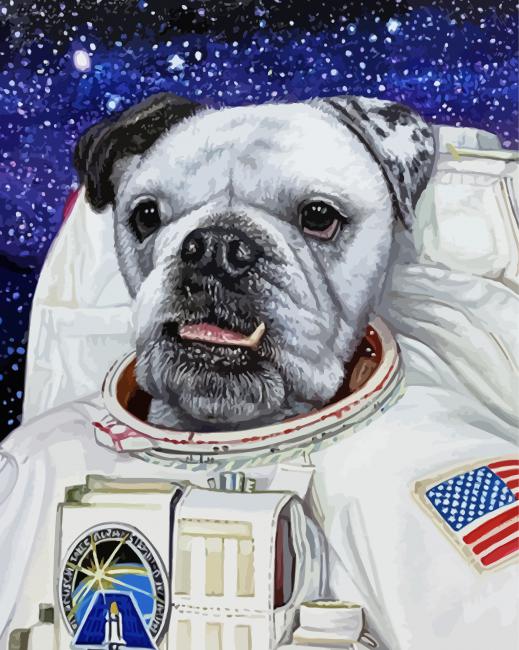 The Astronaut Dog paint by number