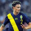 The Swedish Soccer Player Mikael Lustig paint by number