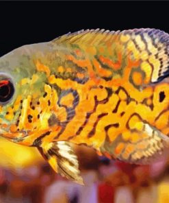 Tropical Cichlid paint by numbers